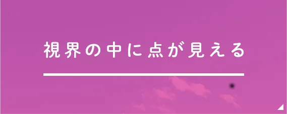 視界の中に点が見える